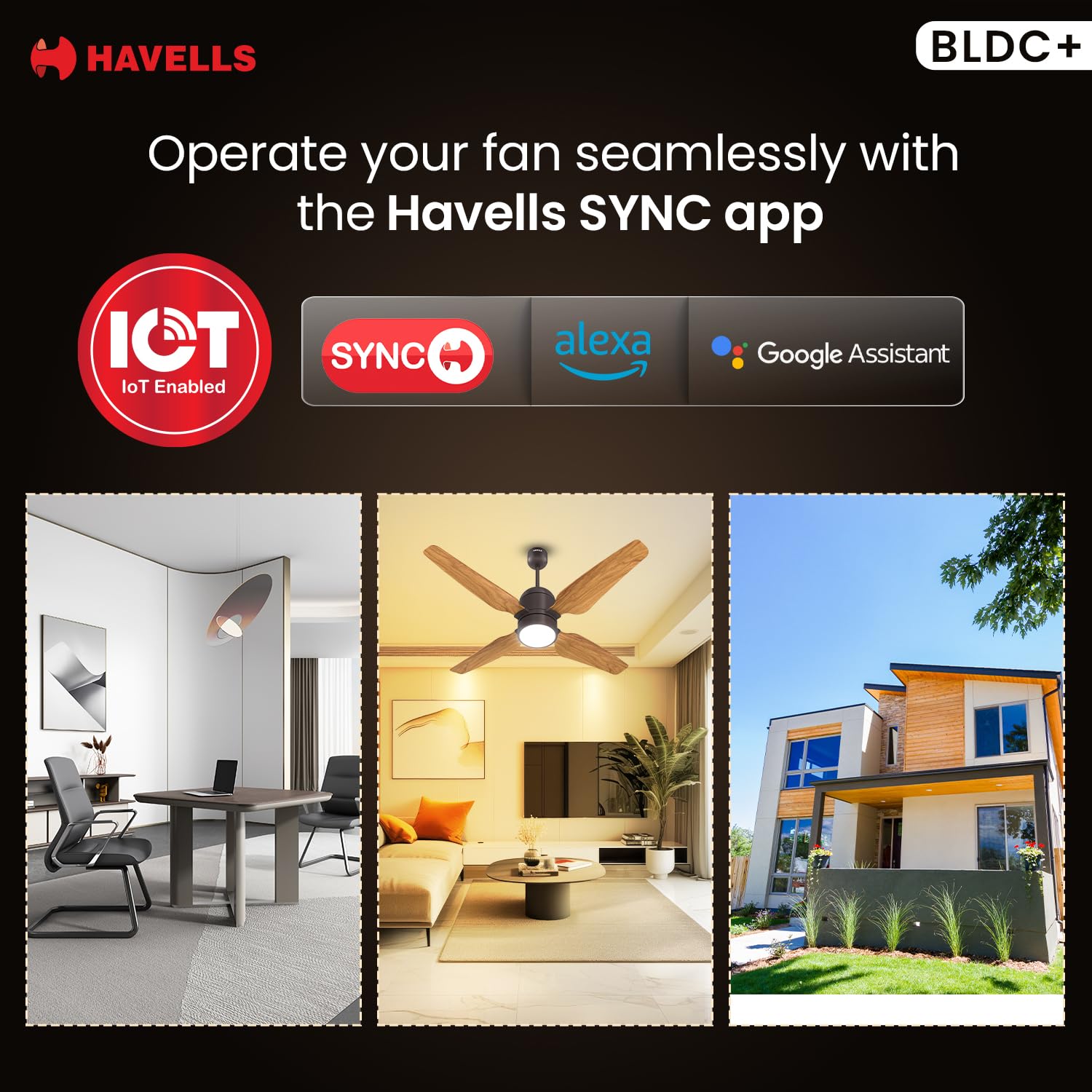 71pHtfB7T3L._SL1500_